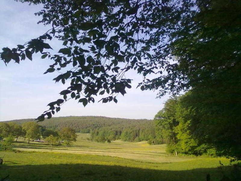 Ferienwohnungen Zeltnerhof Breitenbrunn  ภายนอก รูปภาพ